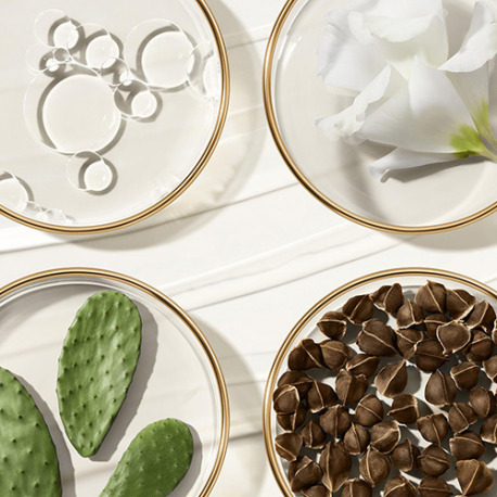 ESTEE LAUDER-Revitalizing Supreme+ - Delicate Youth Revealing ESTEE LAUDER-Revitalizing Supreme+ - Delicate Youth Revealing